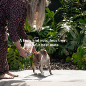 New Zealand King Salmon Slices