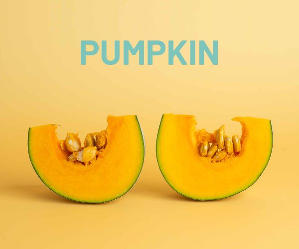 pumpkin-homepage.jpg