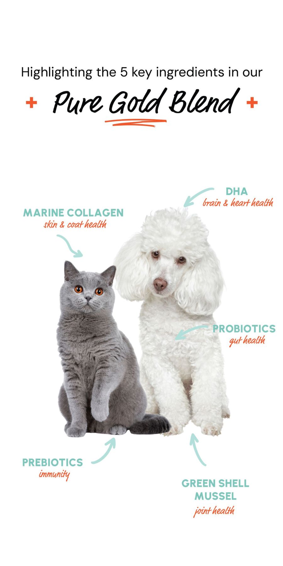 pure-gold-blend-5-key-ingredients-banner-mobile.jpg