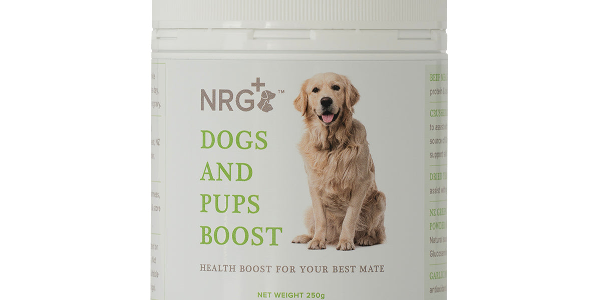 dogs-and-pups-boost_7db50ead-cc05-479e-b2d7-6e6145419431.jpg