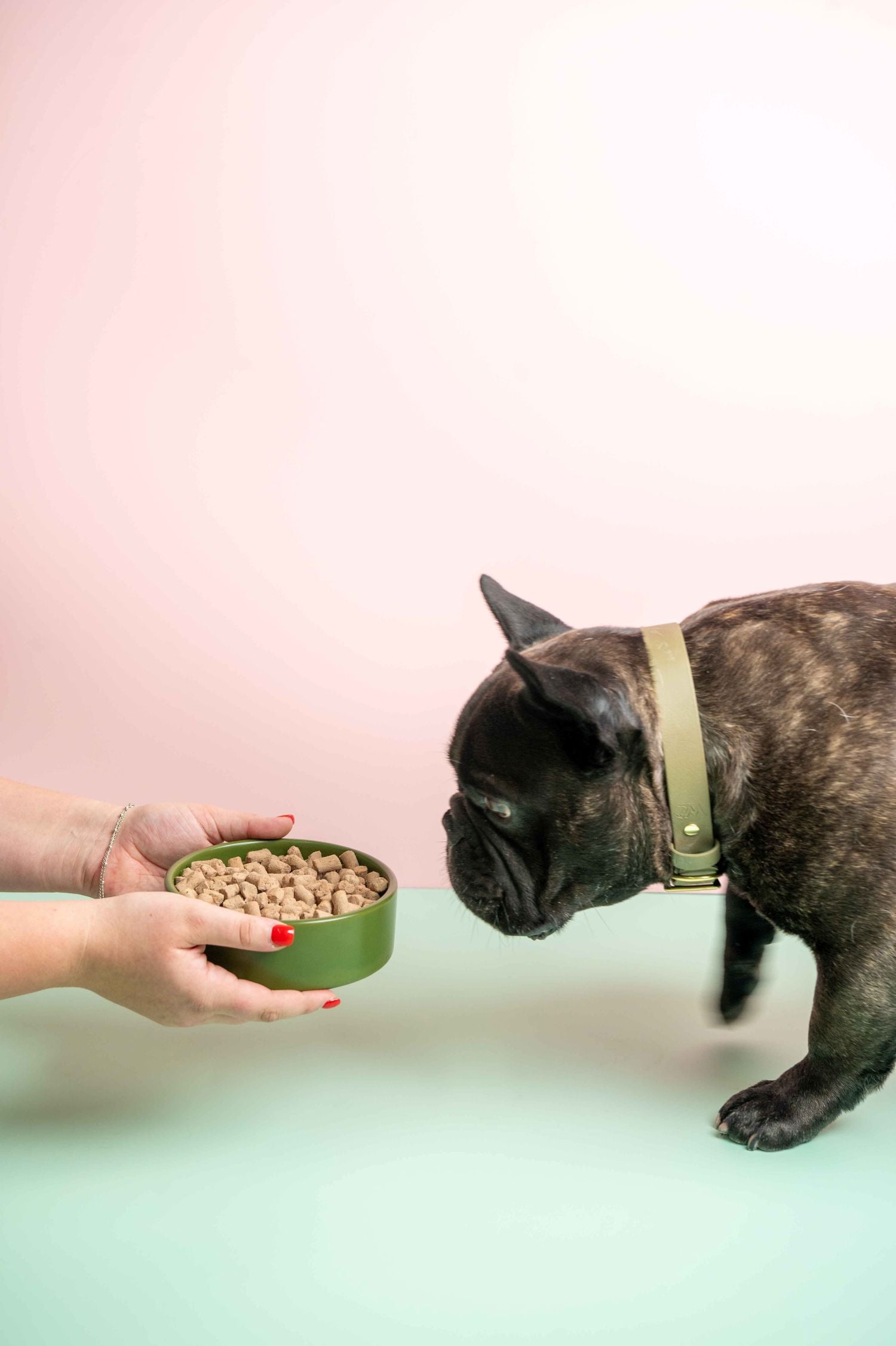 shop-dog-food-01.jpg