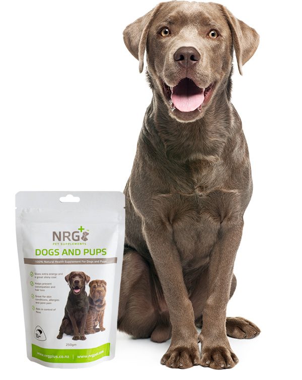 pet food supplement